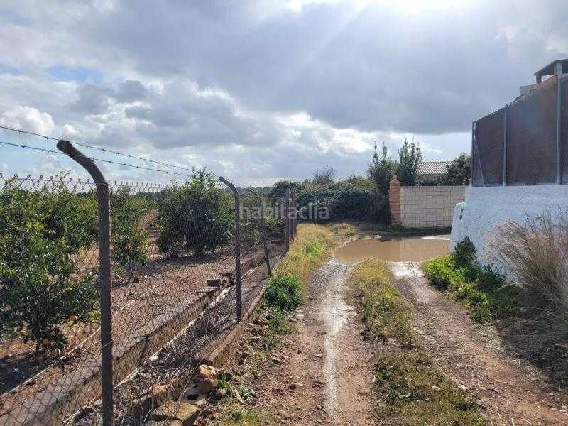 Foto 6aa34013-54e9-4527-8c04-2881159fbe7f. Finca rústica a plaça poligono 28 44 a La Loma-Las Lomas Náquera