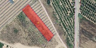 Area edificabile industriale in Partida poligono 45 428