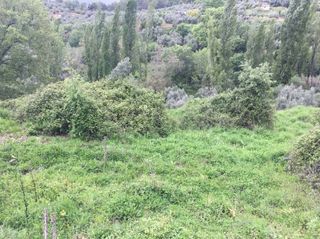 Rural plot in Calle german leon 28