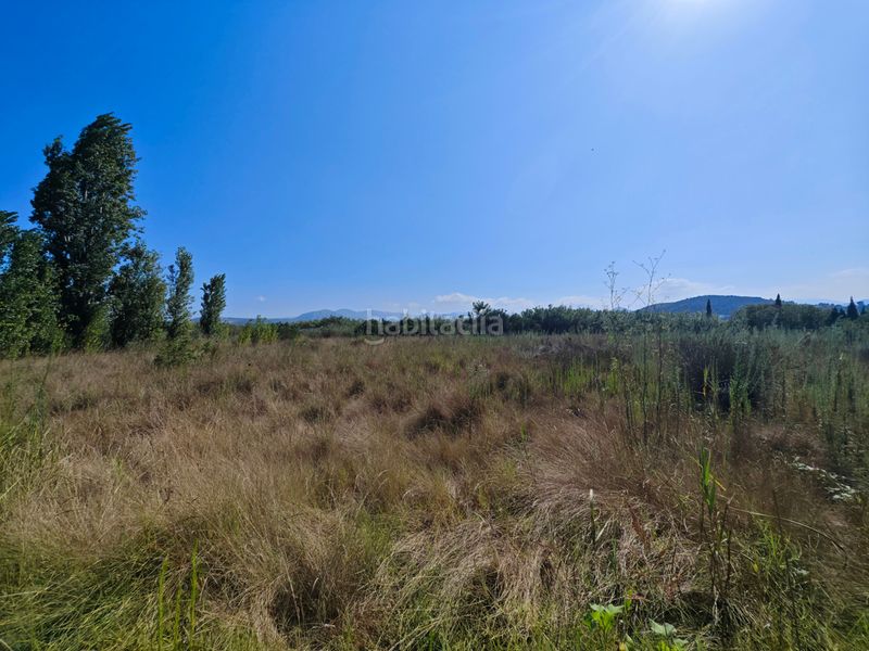 Foto f5843410-b1fa-477b-9a6a-245c49d00091. Landgut in diseminado poligono 16 10 in Oliva nova Oliva