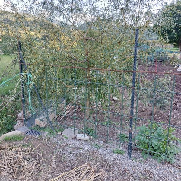 Foto 1251f0e6-aed6-4ba4-a530-5176d06d5331. Terreno residencial a la venta huerto en alas en Alàs i Cerc