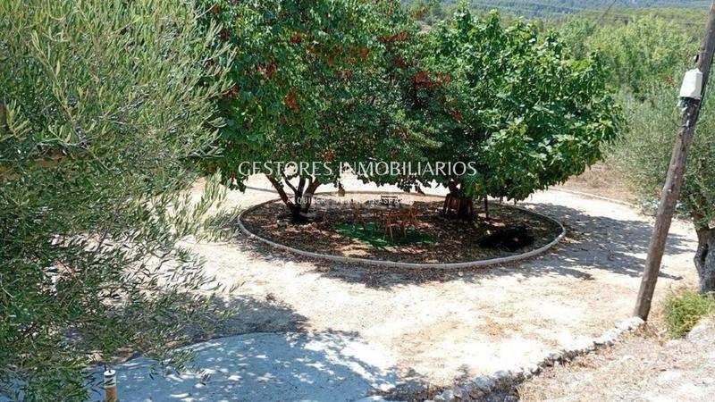 Foto 7ee0ca45-d75c-4723-9b6f-2c6092a2cf9d. Casa amb aparcament a Batoi Alcoi