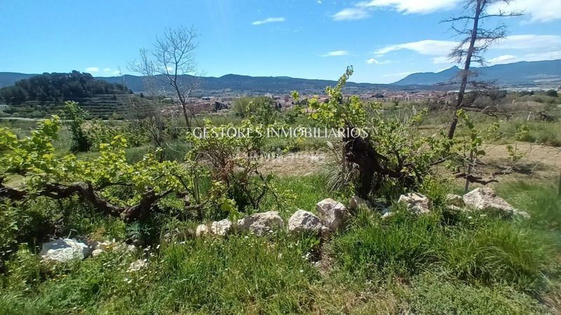 Foto 22c3e073-57e2-48ae-b742-c490dbb0511b. Casa  de campo en Ibi