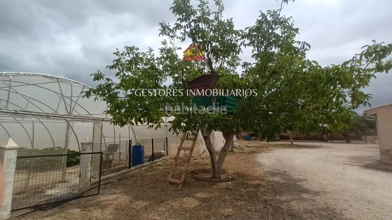 Foto b9e654cd-cd0a-4b87-8569-79b856d6522b. Xalet amb calefacció aparcament piscina a Onil
