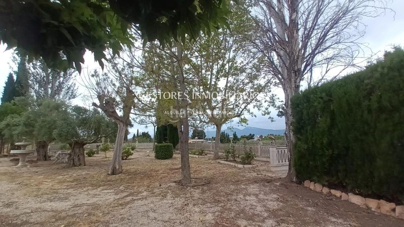 Foto ea529f2f-ab0f-4c72-8874-28fd693e54f7. Xalet amb calefacció aparcament piscina a Onil