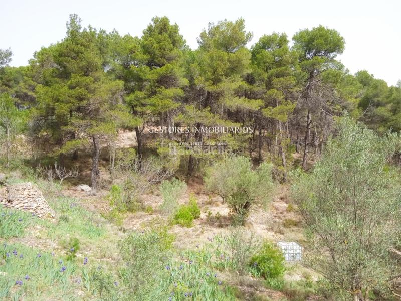 Foto 704aa4a2-4969-4ae3-ae97-31af1b8e4419. Xalet a Centre-Zona Alta Alcoi