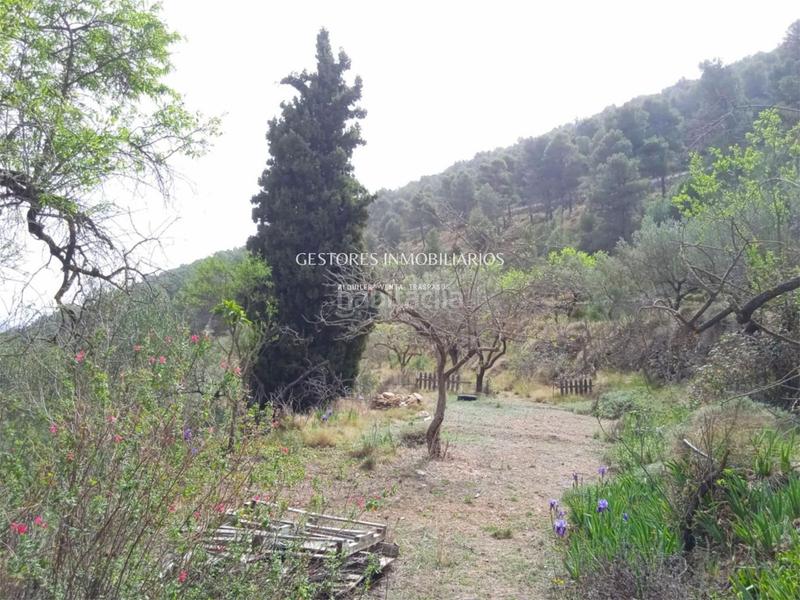 Foto 8c7cf8b4-9ff1-427c-bdf0-3c194279ebc8. Xalet a Centre-Zona Alta Alcoi