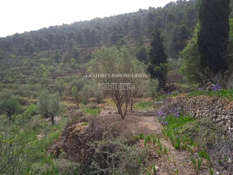 Foto a83bd410-2ba3-4bf3-977c-8957c784683f. Xalet a Centre-Zona Alta Alcoi