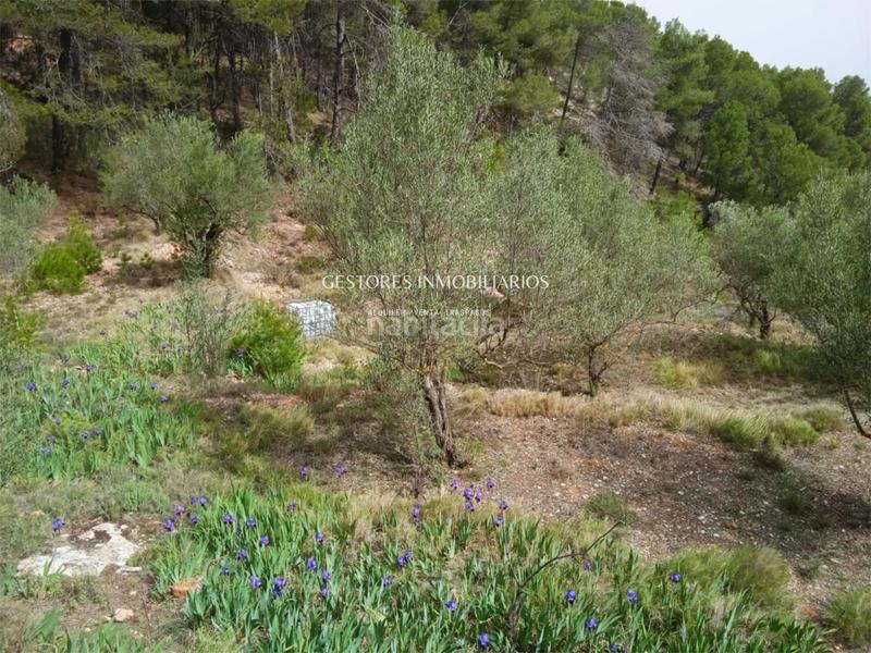 Foto bbcb3950-1ba6-4f64-acb9-77818b9d5c54. Xalet a Centre-Zona Alta Alcoi