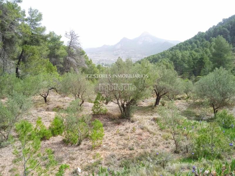 Foto fb2c0ba2-470f-409f-9dbb-727b5483c1a1. Xalet a Centre-Zona Alta Alcoi