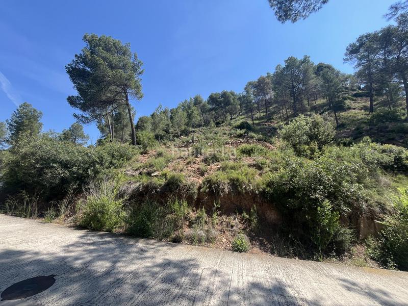 Foto 4d059395-d427-4942-b6dc-49371076ee82. Terreno residencial en de las torres de fals 3 en Fonollosa