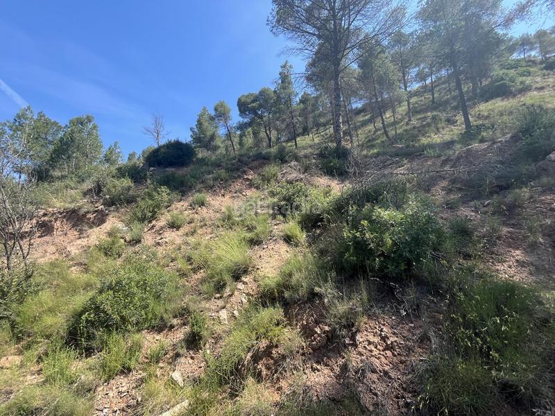 Foto 816754d0-239b-4782-a296-07e037fbef23. Terreno residencial en de las torres de fals 3 en Fonollosa