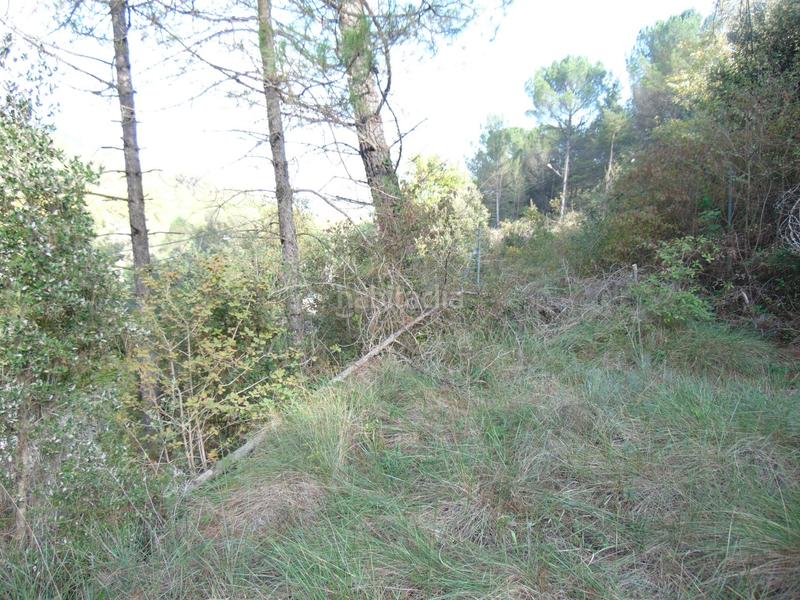 Foto 0f949848-1725-49c8-8f34-4c603e3db508. Terrain résidentiel dans Monistrol de Calders