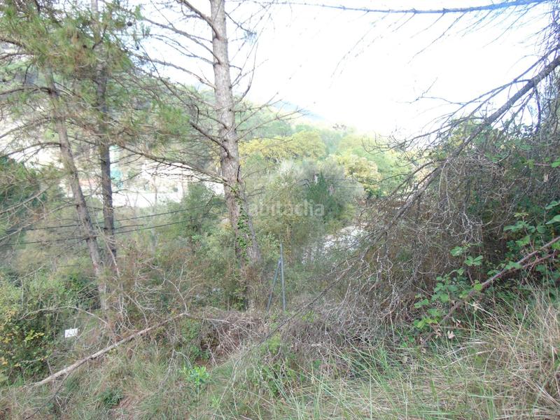 Foto 11cdfeff-3fc6-4aad-89d9-d781ea99ac2f. Terrain résidentiel dans Monistrol de Calders