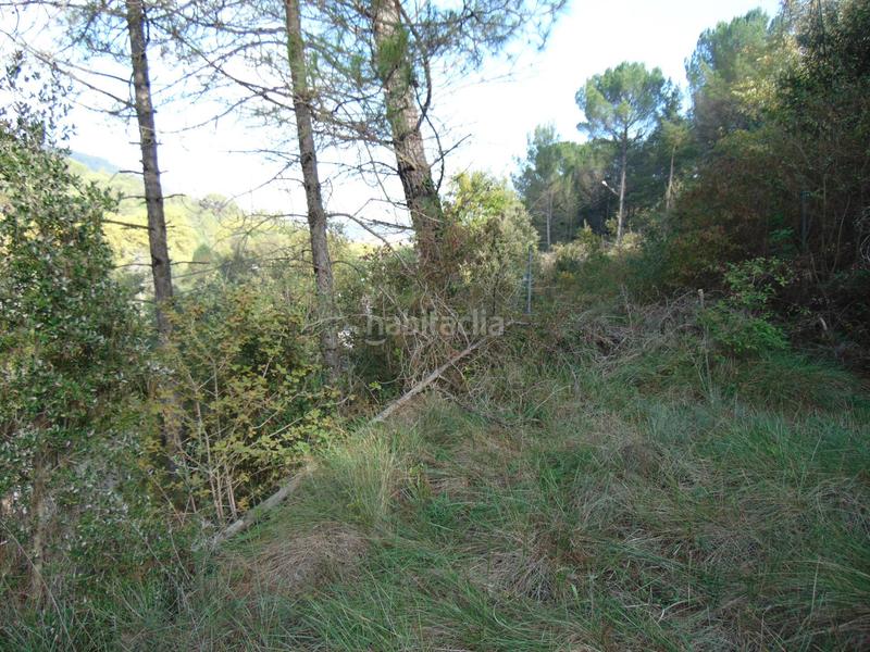 Foto 7533739e-9d66-444e-90ff-23194add5417. Terrain résidentiel dans Monistrol de Calders