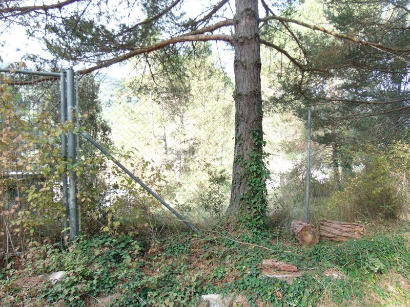 Foto d2b9099f-e770-4c1c-be3e-404a1f7aa46c. Terrain résidentiel dans Monistrol de Calders