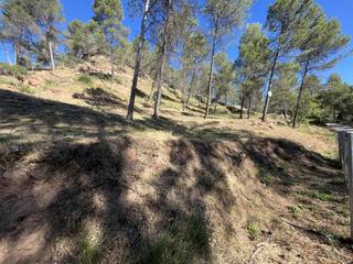Terreny residencial a Del boso 7. No encontrarás otro terreno igual.