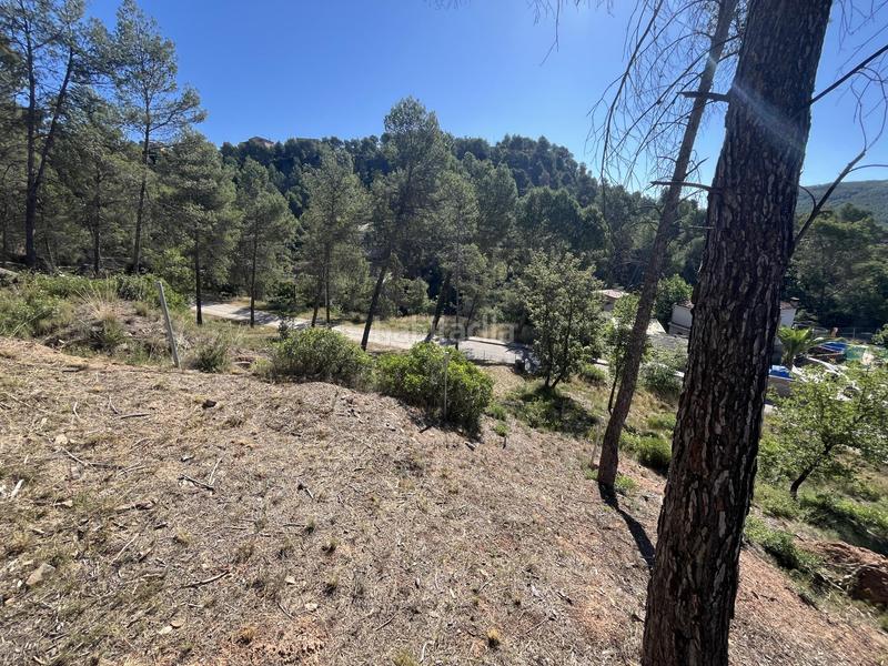 Foto 4515670e-c3d3-4146-a0fc-cf9cb917011a. Residential plot in del boso 5 in Fonollosa