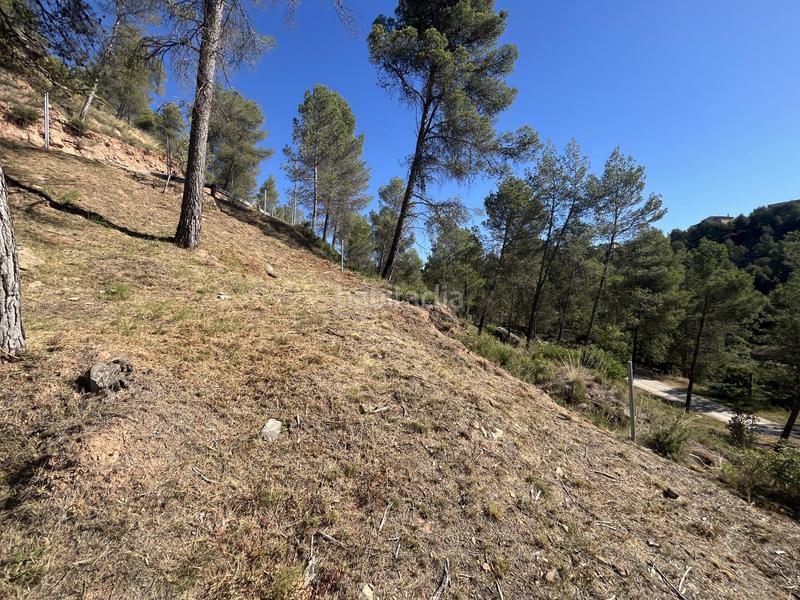 Foto 56e48315-3820-44b9-92ea-71cd2174121b. Residential plot in del boso 5 in Fonollosa