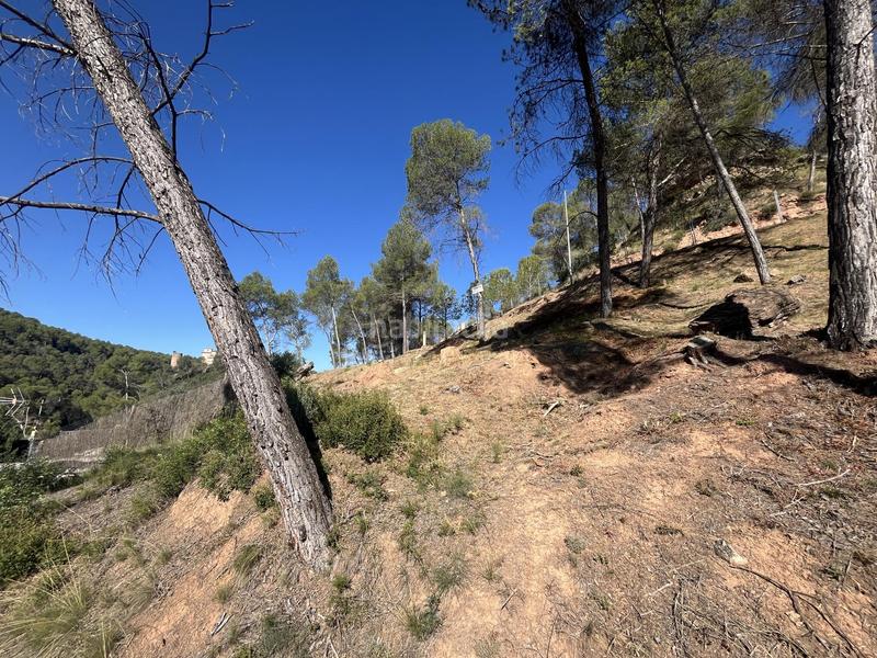 Foto 6324d4e6-a4ad-4e45-bd55-115fd200f127. Residential plot in del boso 5 in Fonollosa