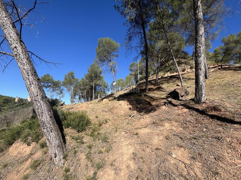 Foto 7bbecf0b-112e-455f-aa5a-67f6dea409c3. Residential plot in del boso 5 in Fonollosa