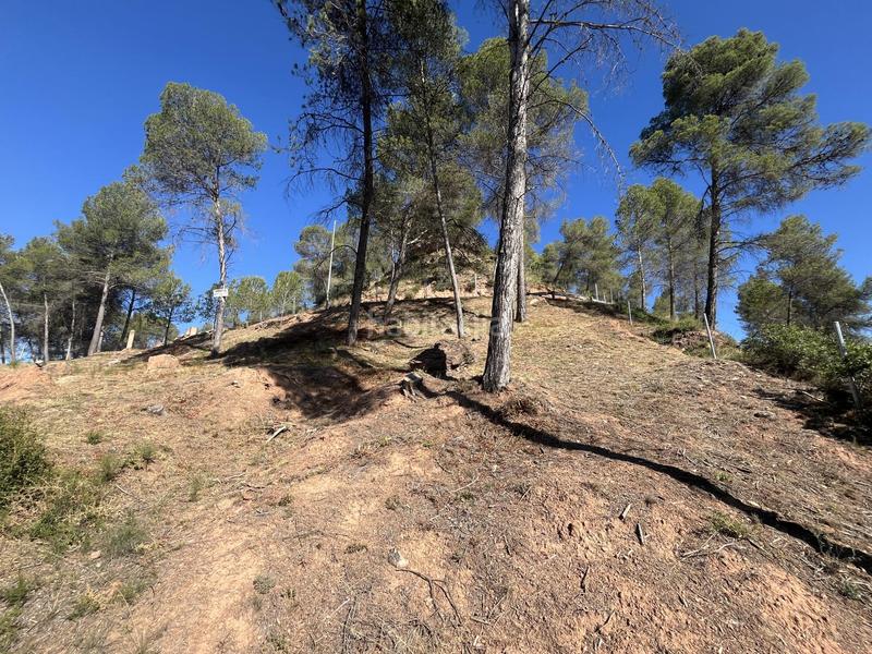 Foto 9b5f4ee2-8ca5-47ee-a096-bb49b4689eaf. Residential plot in del boso 5 in Fonollosa