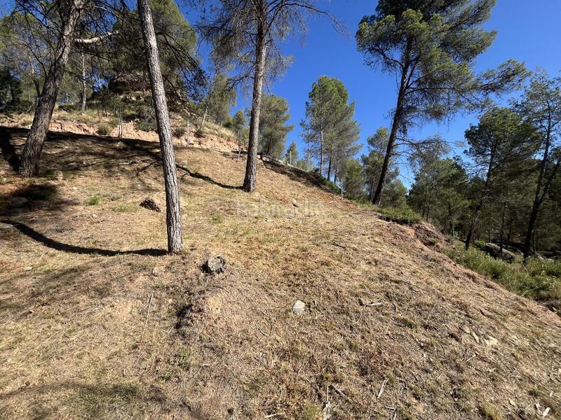 Foto b93651a0-4582-4f44-8114-2b673f0f9373. Residential plot in del boso 5 in Fonollosa