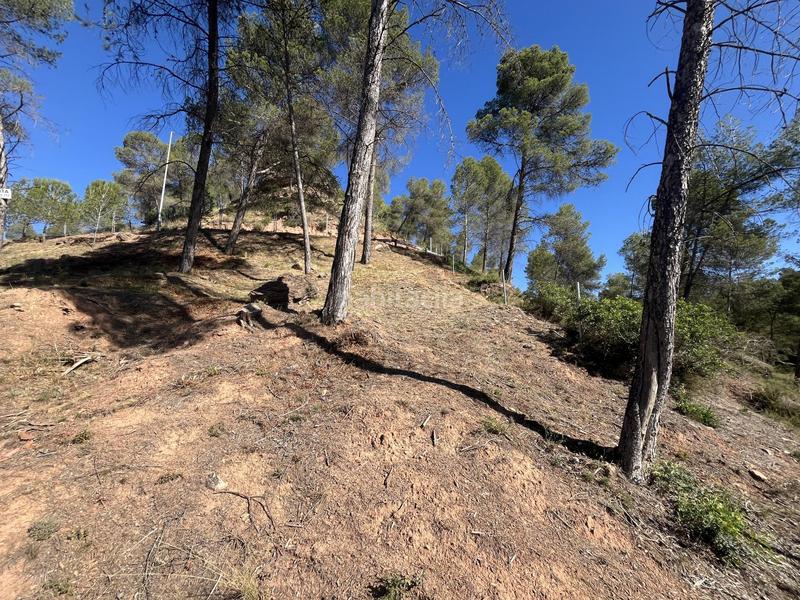 Foto e81818ee-d3a3-4926-88a1-1c1e4cf0d652. Residential plot in del boso 5 in Fonollosa