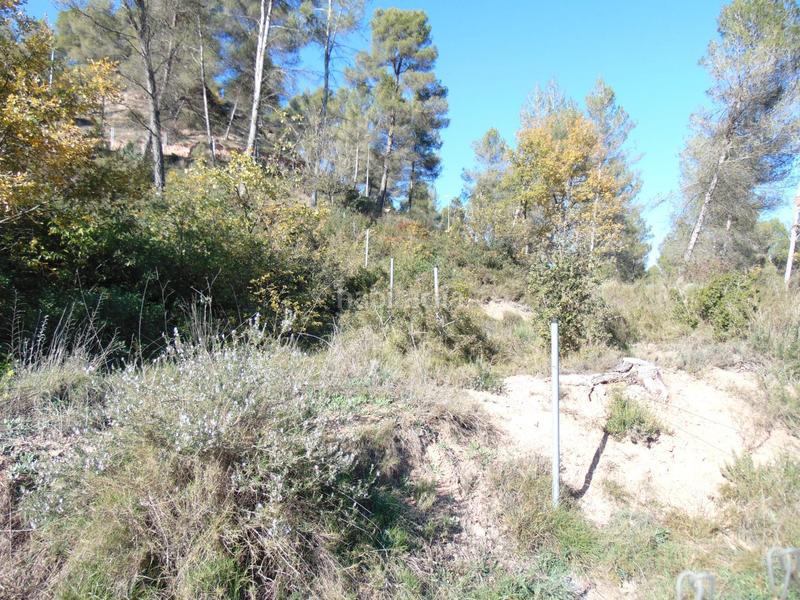 Foto 3ba97393-843e-42b6-8e0e-d899b7484b0b. Terrain résidentiel dans del bosc dans Fonollosa