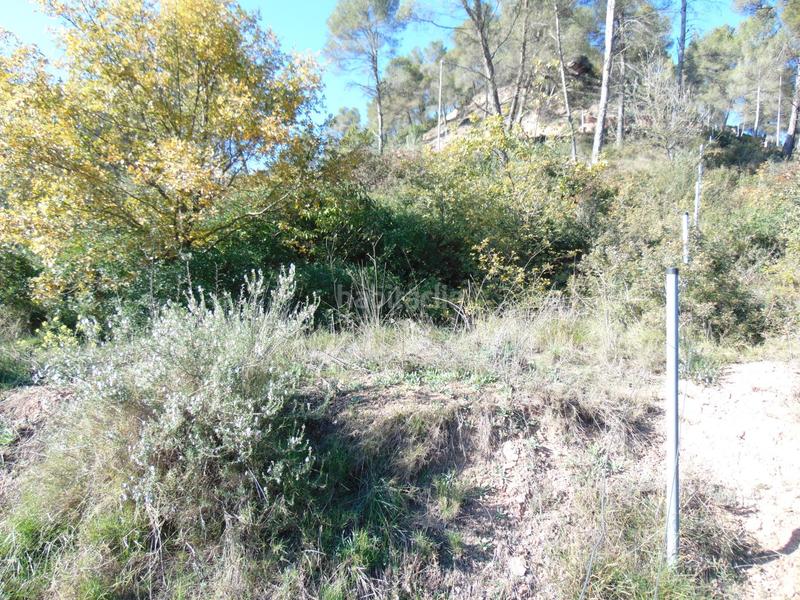 Foto a52b18f9-3da3-497b-900f-4496b7b66091. Terrain résidentiel dans del bosc dans Fonollosa