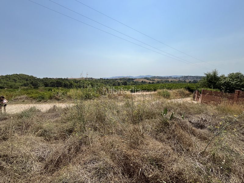 Foto f1472ca5-5a3c-47a9-b72f-d71201a4e82f. Terreny residencial a Piera