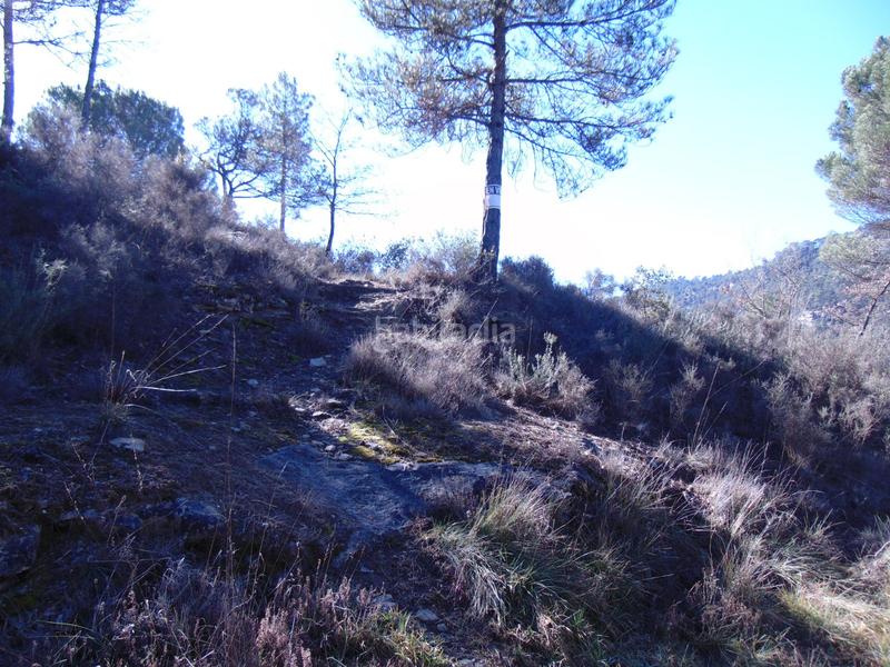 Foto 2a024e4e-8038-43b3-91b9-809641258924. Wohngrundstück in sector c in Monistrol de Calders