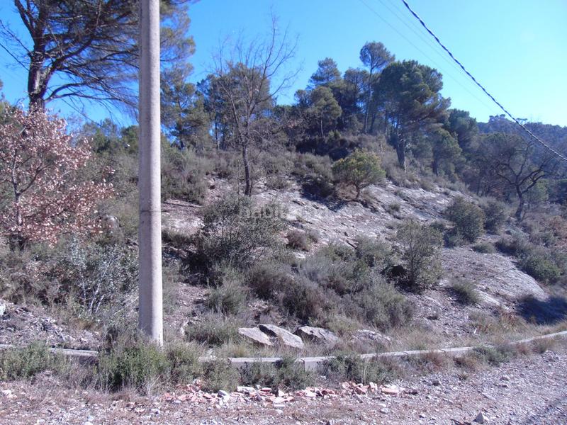 Foto c0365a74-9c0b-4337-8a19-8c0b8ee6d19c. Wohngrundstück in sector c in Monistrol de Calders