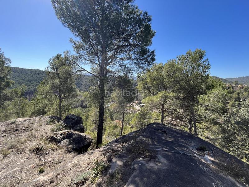 Foto eeaa1fb7-fa10-4a58-a45a-fdc09837a105. Wohngrundstück in mirador de canet 34 in Fonollosa