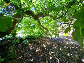 Residential Plot in Sant Joan de Moró. Suelo rústico con posibilidad de agua y luz