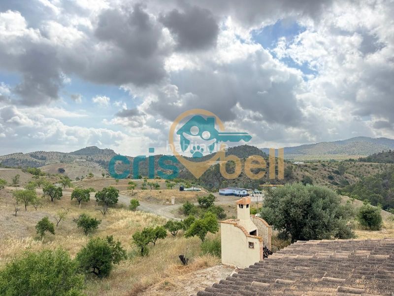 Foto 894dd4a9-1256-49e5-b577-262935d7158a. Casa pareada  en Parrilla Lorca