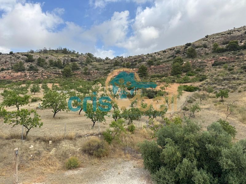 Foto dda58e40-b5e8-4092-8fcc-84b657395a0f. Casa pareada  en Parrilla Lorca