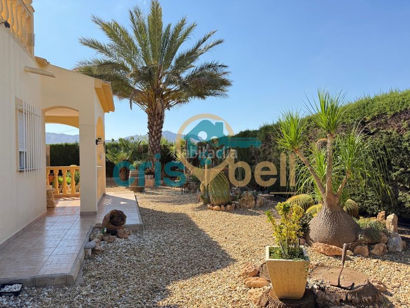 Foto 4af486c1-1793-4ad4-9c1b-7822564fa928. Chalet  independiente en Pozo Higuera Lorca