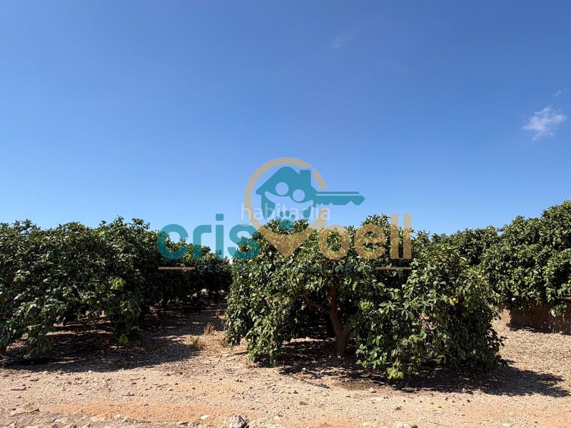 Foto a1ee584c-b6b5-4d79-af5c-d3644217e564. Chalet  independiente en Pozo Higuera Lorca