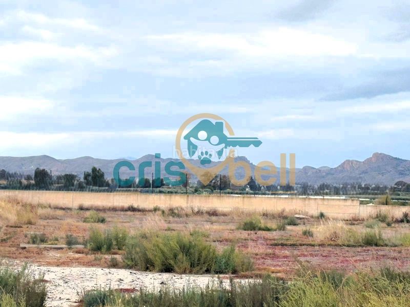 Foto 41c68bfa-2a51-458e-ae21-55cb0ba39fd8. Finca rústica a Campillo Lorca