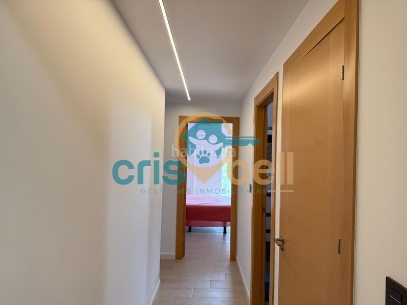 Foto 71e08a45-3521-49e0-bae5-e9b4408f3527. Pis a Sutullena Lorca
