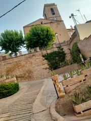 Pis  Sant miquel
