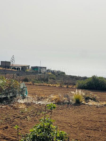 Foto 00fa34cd-5b06-4b90-a60c-f6e7bd2c7f44. Alquiler finca rústica se alquila fina para explotación agrícola en guimar en Güímar
