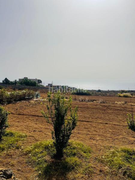 Foto 470da7de-5f26-4d7d-86ec-230d79827273. Alquiler finca rústica se alquila fina para explotación agrícola en guimar en Güímar