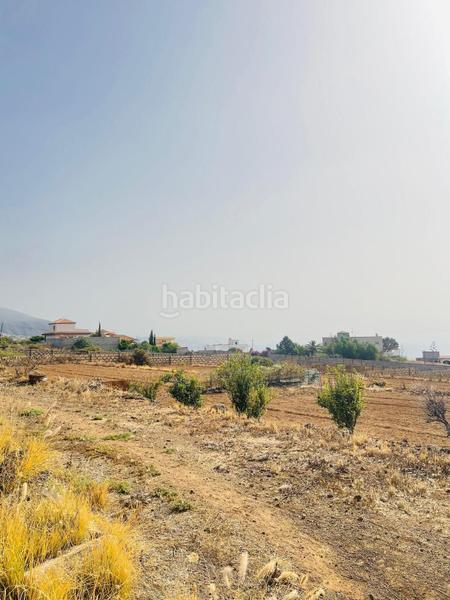 Foto cc62b538-6c95-4153-abd2-16a82315c1c9. Lloguer finca rústica a Centro Güímar