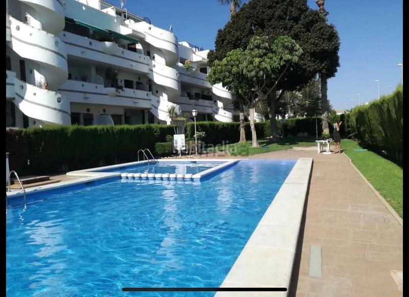 Foto 42ee0956-43d7-4c09-a671-7ea73847f66a. Apartamento  tipo estudio en venta publo latino torre de la horadada en Pilar de la Horadada