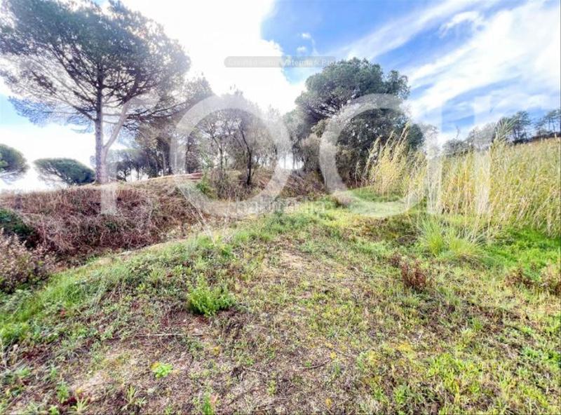 Foto 11cac6d3-c695-4e0f-90c0-2dcaf09f234f. Terreno residencial en Condado del Jaruco - Puigventós Lloret de Mar
