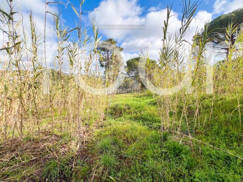 Foto 58ccd940-950b-4d99-b36d-be8cb8869785. Terreno residenziale in Condado del Jaruco - Puigventós Lloret de Mar