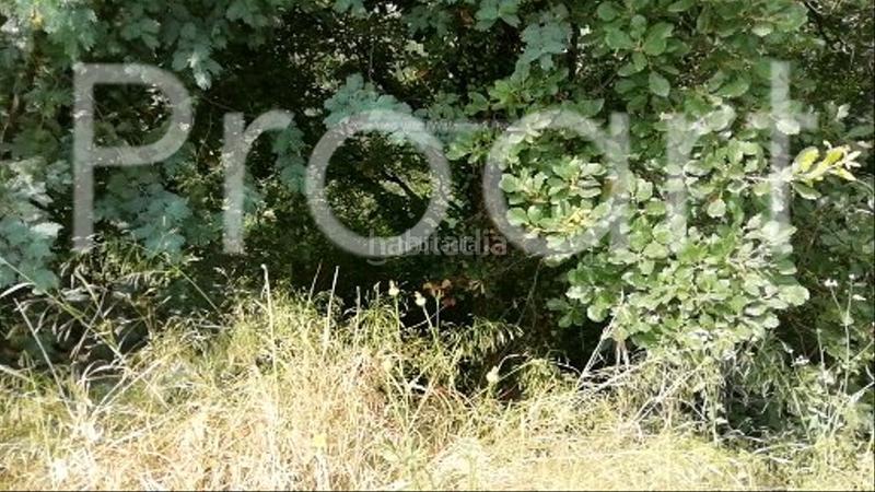 Foto 6360ca23-eafe-457f-854b-93bddee0d671. Terrain résidentiel dans Riells i Viabrea