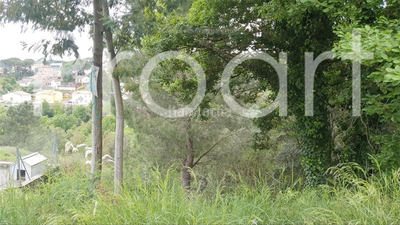 Foto 8893e610-f84d-4b3d-a1cc-2519bffa210d. Terrain résidentiel dans Riells i Viabrea